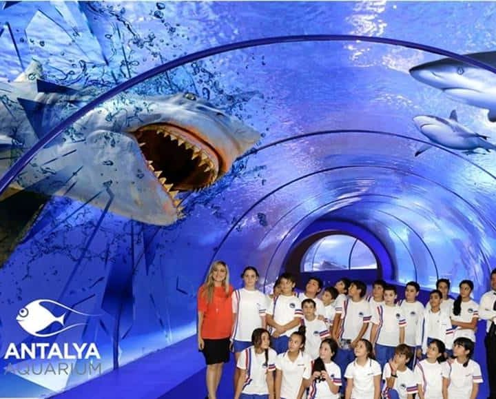 Antalya aquarium from Kemer 