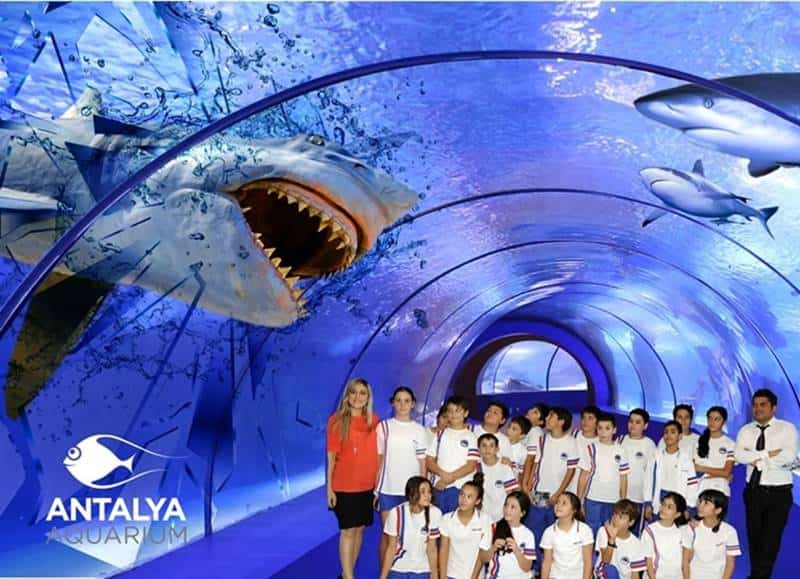 Antalya aquarium from Kemer 