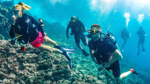 Diving in Antalya обзоры туров