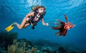 Diving in Alanya обзоры туров