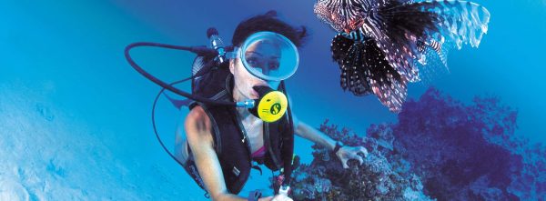 Diving in Bodrum цены на туры