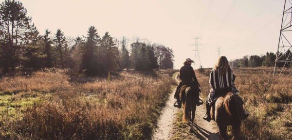 Horse riding in Kusadası обзоры туров