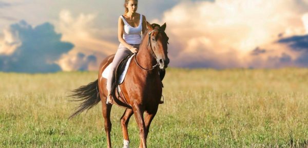 Horse riding in Kusadası Дешевый тур