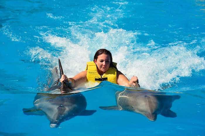 Swimming with Dolphins In Belek Места для посещения