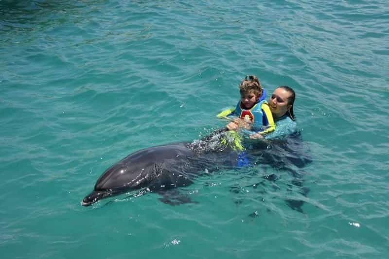 Swimming with dolphins in Belek Turkey