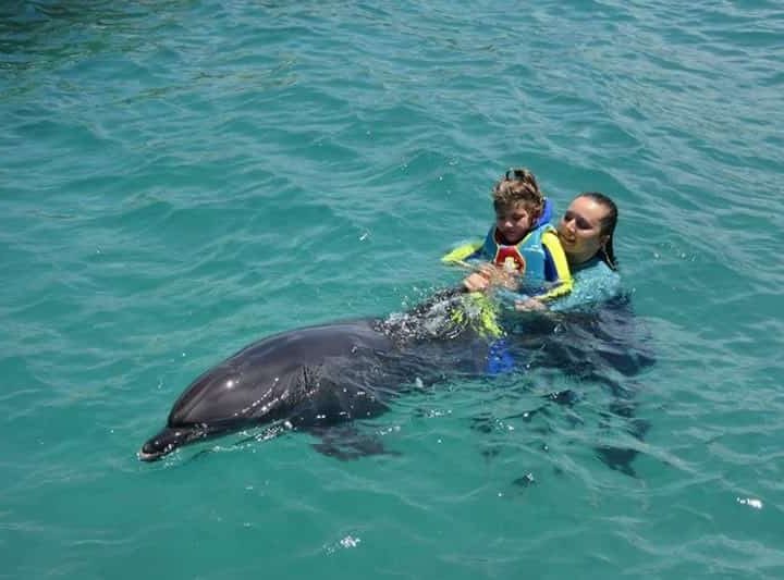 Swimming with Dolphins in Kemer