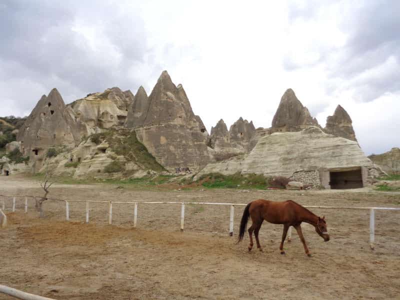 Cappadocia Horse Riding предложения туров