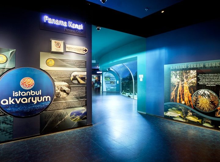 Istanbul Aquarium Tour